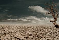 agri-pumps_clip_image006